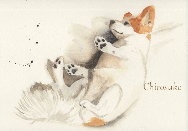 f:id:maronmame:20200920183900j:plain