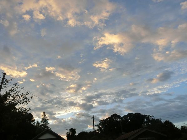 f:id:maronmame:20200920184103j:plain