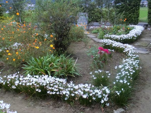 f:id:maronmame:20200920184143j:plain