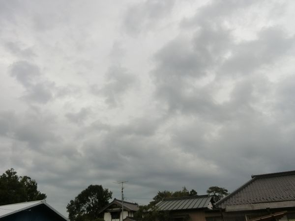 f:id:maronmame:20200920184247j:plain