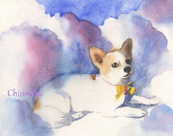 f:id:maronmame:20201005073350j:plain