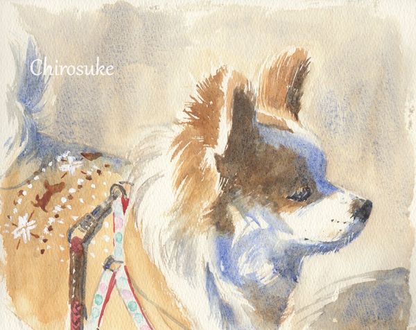 f:id:maronmame:20201005073636j:plain