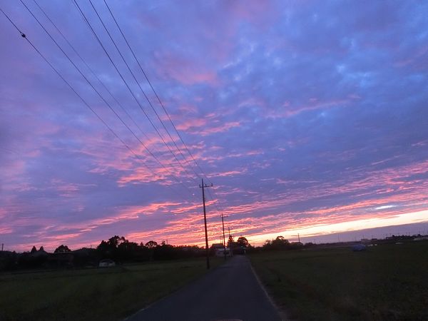 f:id:maronmame:20201005074306j:plain