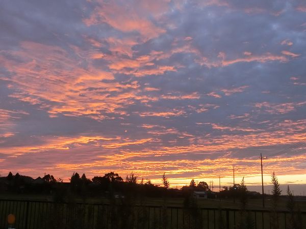 f:id:maronmame:20201005074322j:plain