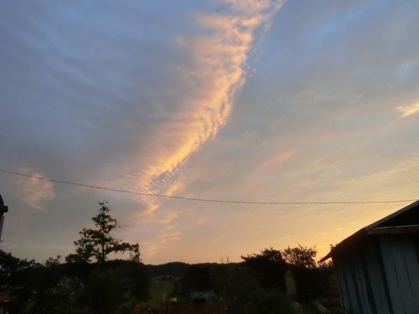 f:id:maronmame:20201005074356j:plain