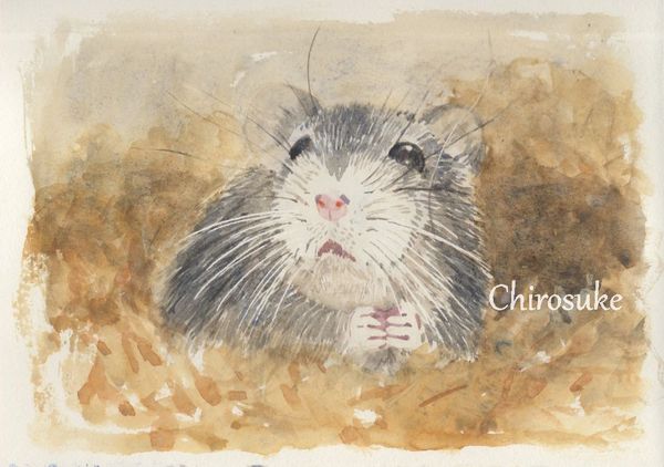 f:id:maronmame:20201017131650j:plain