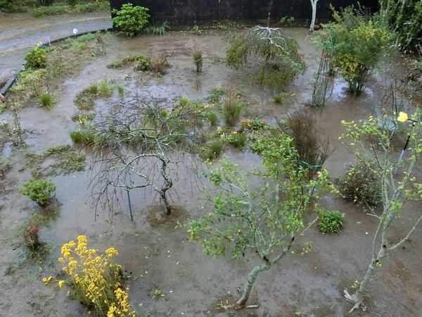 f:id:maronmame:20201017132448j:plain