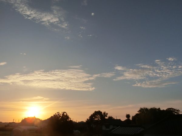 f:id:maronmame:20201017132504j:plain