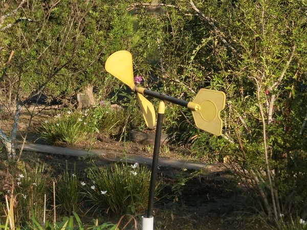 f:id:maronmame:20201022124511j:plain