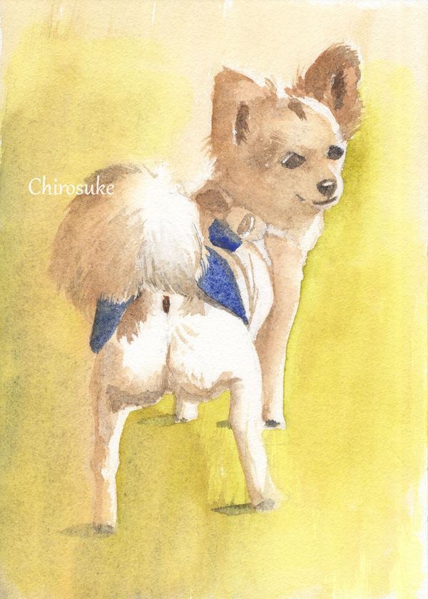 f:id:maronmame:20201117125535j:plain