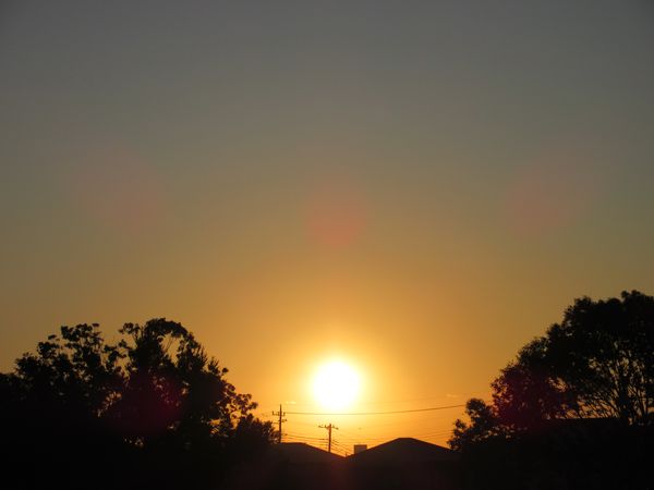 f:id:maronmame:20201117130400j:plain