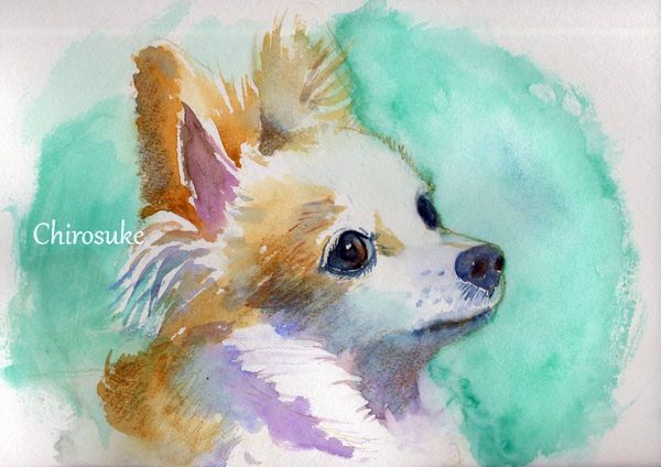 f:id:maronmame:20201122150256j:plain