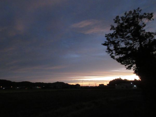 f:id:maronmame:20201122150744j:plain