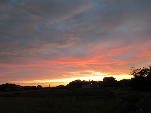 f:id:maronmame:20201122150802j:plain