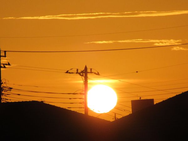 f:id:maronmame:20201122150833j:plain