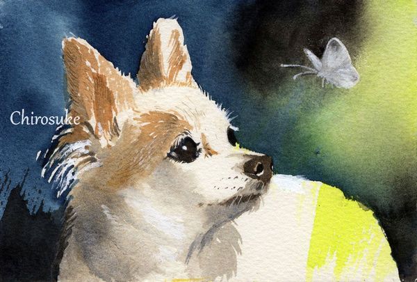 f:id:maronmame:20201203124834j:plain