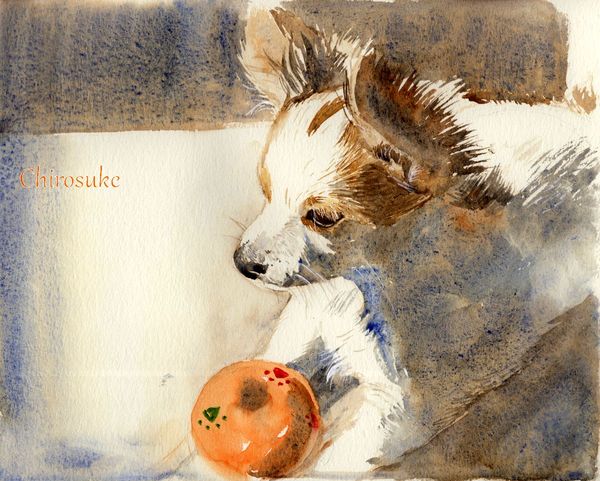 f:id:maronmame:20201203125058j:plain