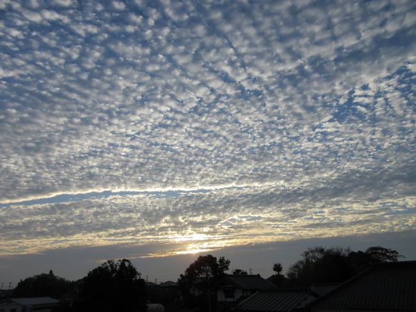 f:id:maronmame:20201203125340j:plain