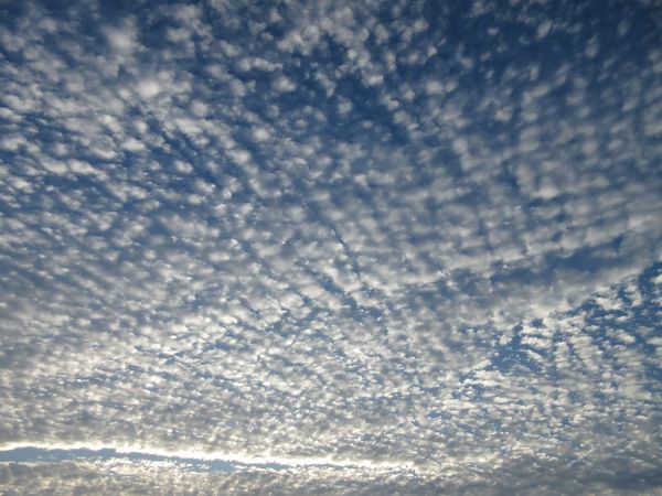 f:id:maronmame:20201203125402j:plain