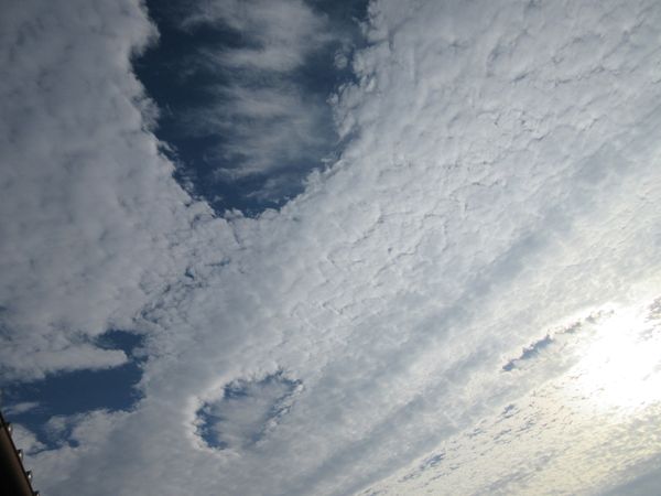 f:id:maronmame:20201203125418j:plain