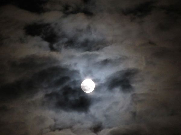 f:id:maronmame:20201203125456j:plain