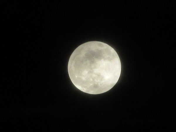 f:id:maronmame:20201203125513j:plain