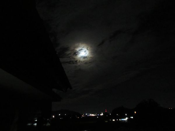 f:id:maronmame:20201203125648j:plain