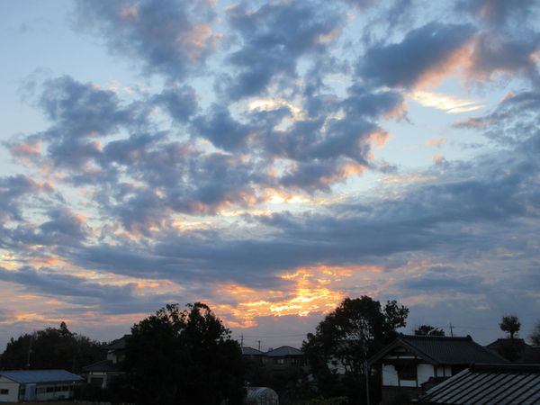 f:id:maronmame:20201203125705j:plain