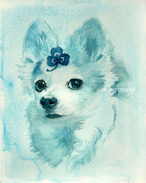 f:id:maronmame:20201216123028j:plain