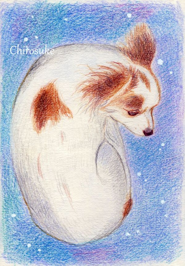 f:id:maronmame:20201216123338j:plain