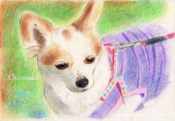 f:id:maronmame:20201216123514j:plain