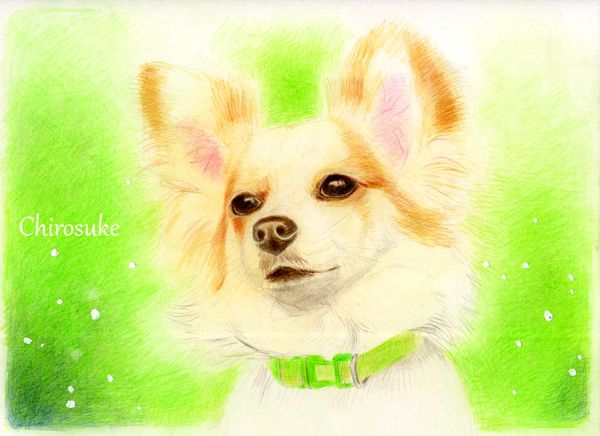 f:id:maronmame:20201227080739j:plain