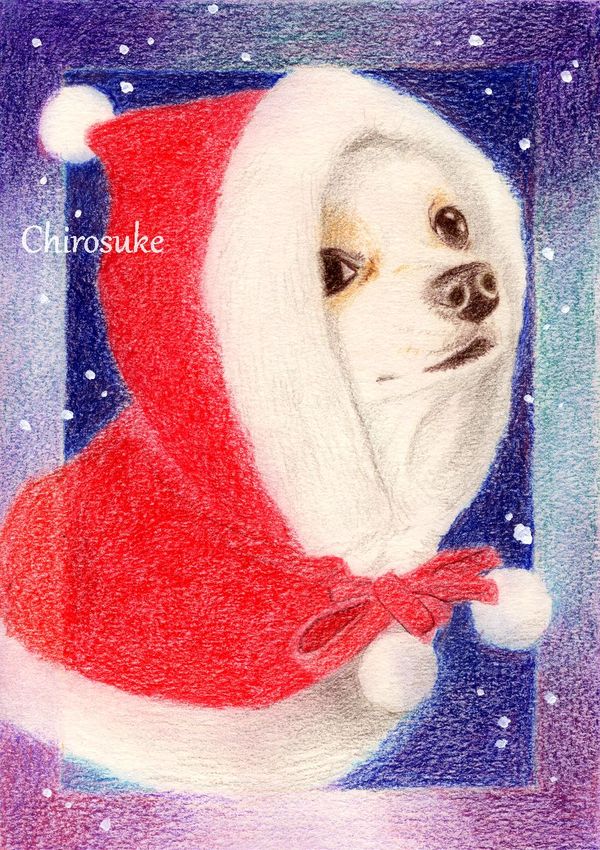 f:id:maronmame:20201227081156j:plain