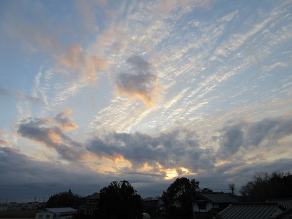 f:id:maronmame:20201227081732j:plain