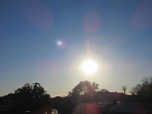 f:id:maronmame:20210102121627j:plain