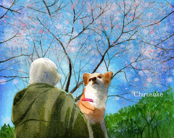 f:id:maronmame:20210119125614j:plain