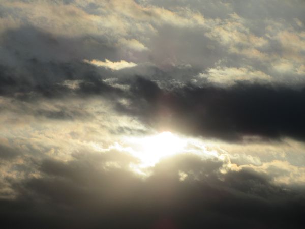 f:id:maronmame:20210119130256j:plain