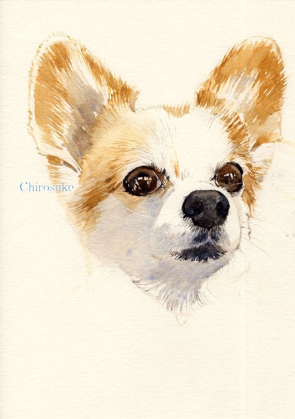 f:id:maronmame:20210123155950j:plain