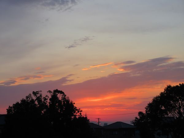 f:id:maronmame:20210123160818j:plain