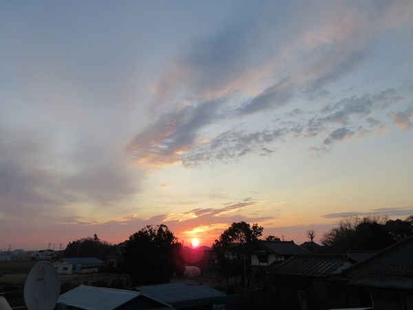 f:id:maronmame:20210123160839j:plain