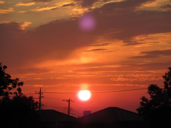 f:id:maronmame:20210123160912j:plain