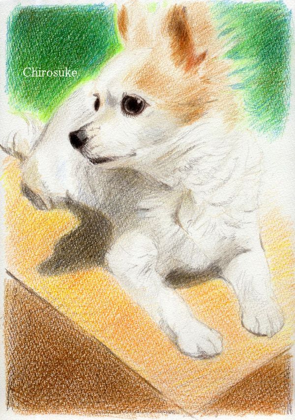 f:id:maronmame:20210128081217j:plain