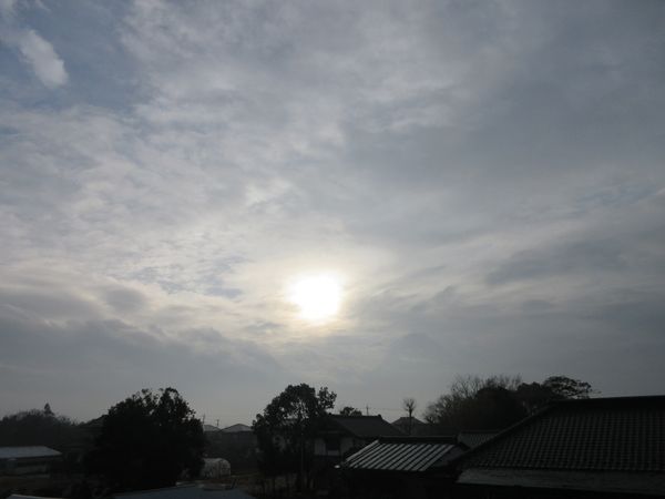 f:id:maronmame:20210128081526j:plain
