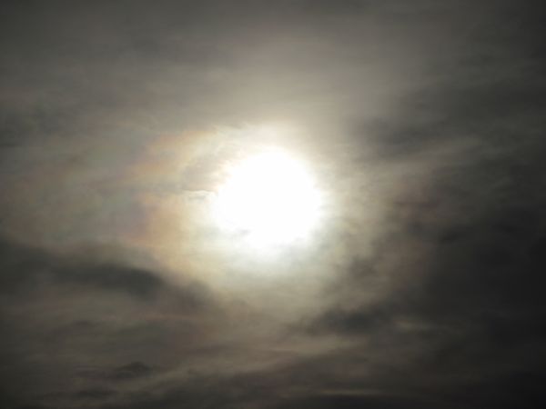 f:id:maronmame:20210128081559j:plain