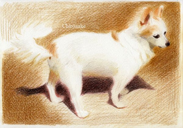 f:id:maronmame:20210212160529j:plain