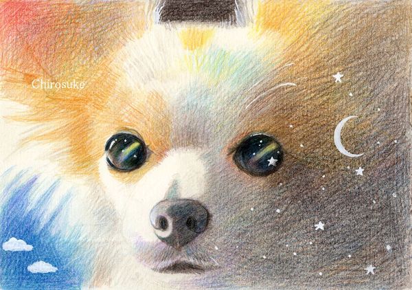 f:id:maronmame:20210301092656j:plain