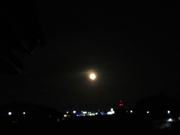 f:id:maronmame:20210301094234j:plain