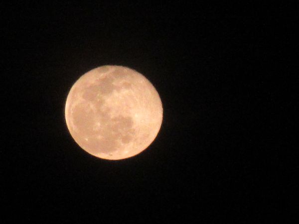 f:id:maronmame:20210301094250j:plain