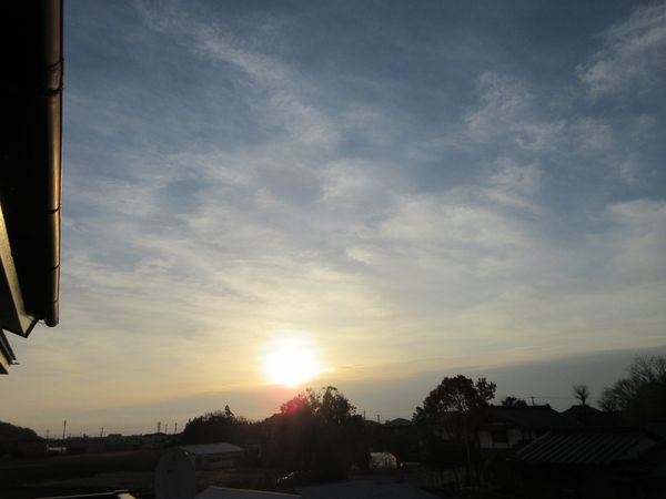 f:id:maronmame:20210301094314j:plain