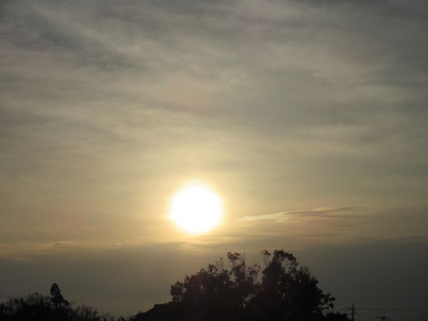 f:id:maronmame:20210301094329j:plain